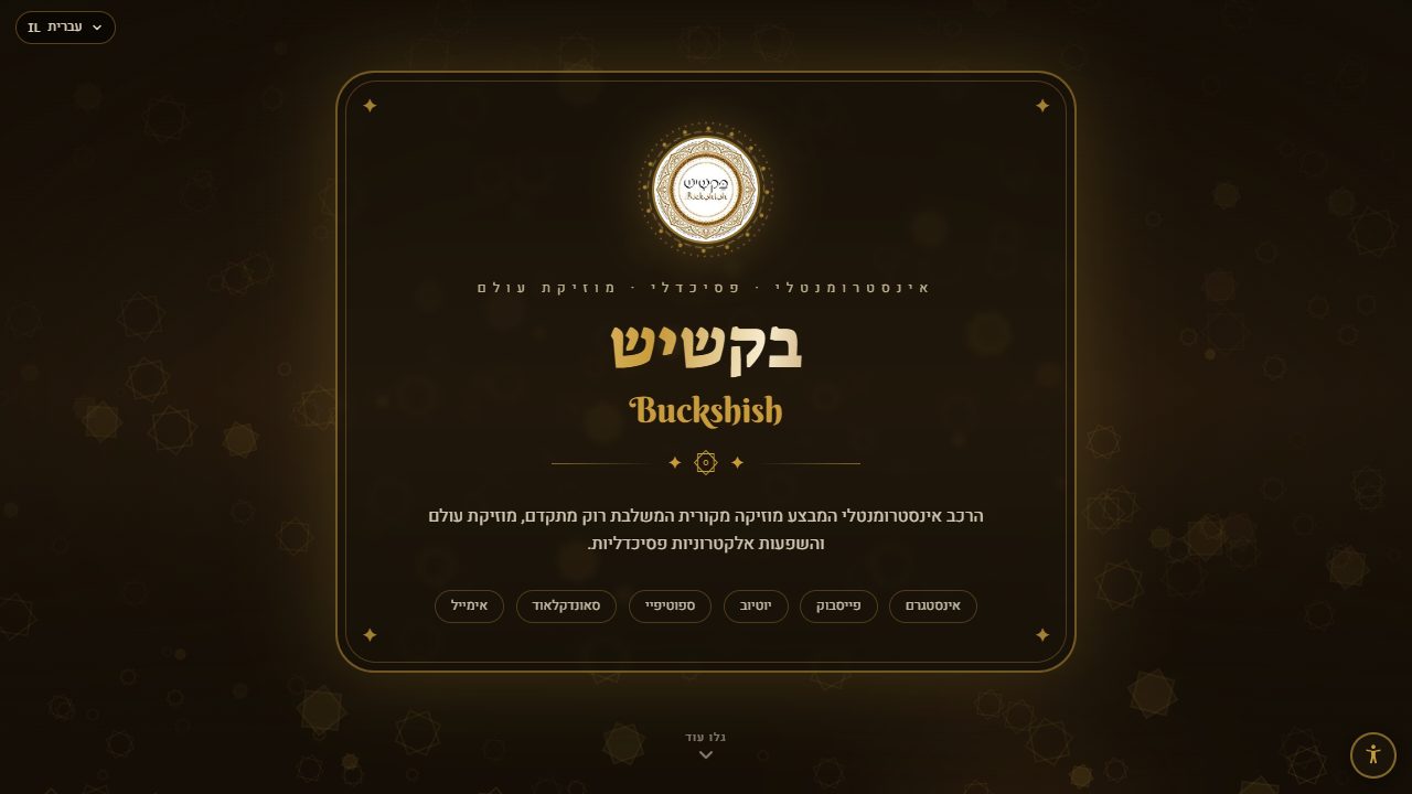 צילום מסך של האתר BuckShish music band